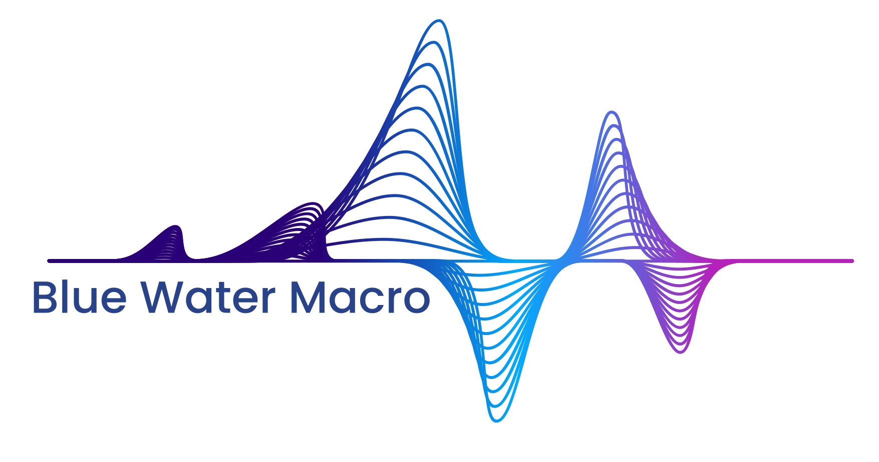 bluewatermacro-logo